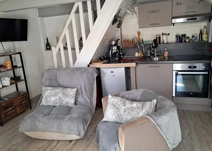 La Modestine Lanuéjols